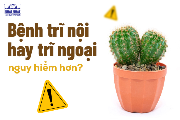 Giải đáp nhanh: Bệnh trĩ nội hay trĩ ngoại nguy hiểm hơn?