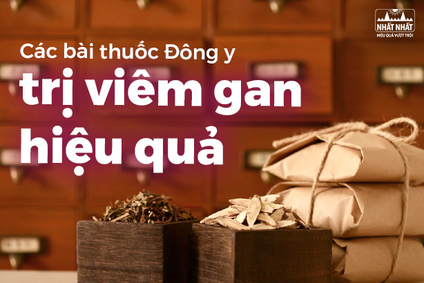 Các bài thuốc Đông y trị viêm gan hiệu quả