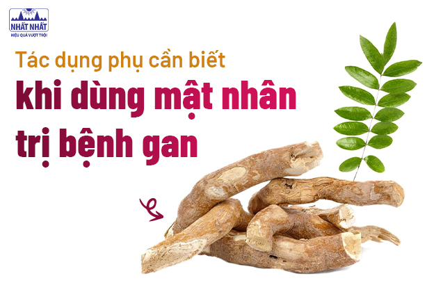 Tác dụng phụ cần biết khi dùng mật nhân trị bệnh gan