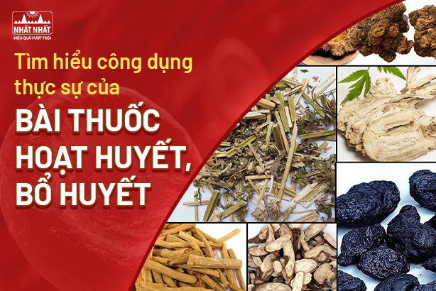 Tìm hiểu công dụng thực sự của bài thuốc hoạt huyết bổ huyết