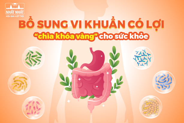 Bổ sung vi khuẩn có lợi – “chìa khóa vàng” cho sức khỏe