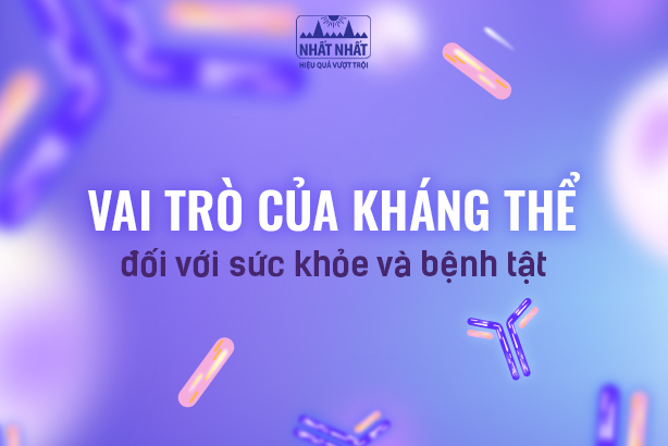 Kháng thể là gì? Vai trò của kháng thể đối với sức khỏe và bệnh tật