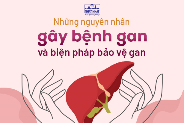 Những nguyên nhân gây bệnh gan và biện pháp bảo vệ gan