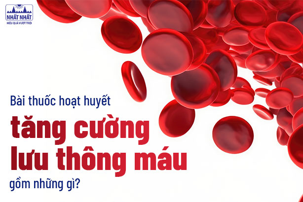 Bài thuốc hoạt huyết tăng cường lưu thông máu gồm những gì?