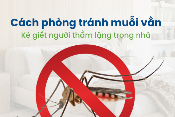 Cách phòng tránh muỗi vằn – Kẻ giết người thầm lặng trong nhà