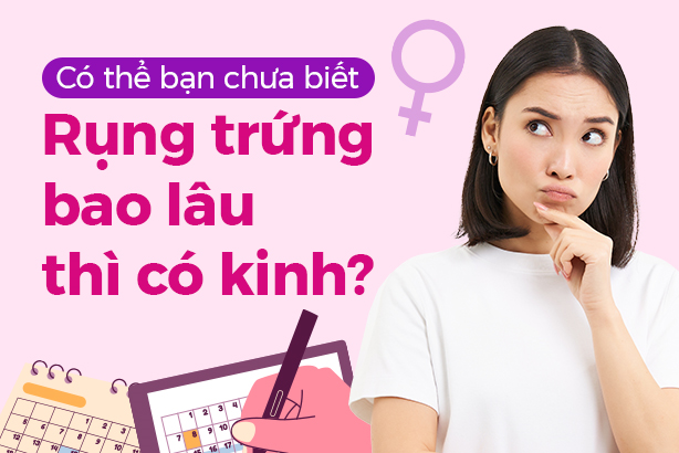 Có thể bạn chưa biết: Rụng trứng bao lâu thì có kinh?