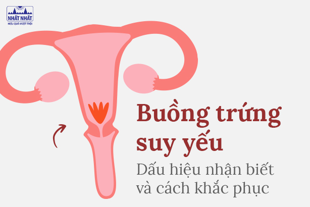 Buồng trứng suy yếu: Dấu hiệu nhận biết và cách khắc phục