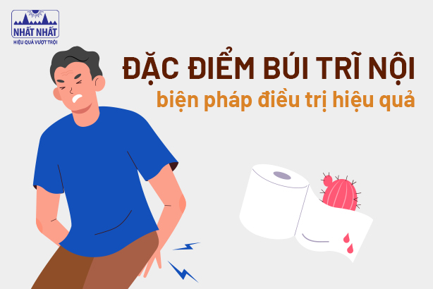 Đặc điểm búi trĩ nội và các biện pháp điều trị hiệu quả