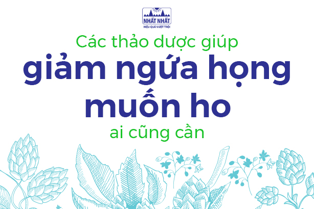 Các thảo dược giúp giảm ngứa họng muốn ho ai cũng cần 