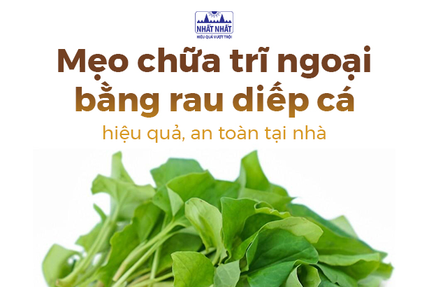 Mẹo chữa trĩ ngoại bằng rau diếp cá hiệu quả, an toàn tại nhà