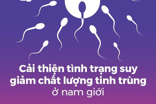 Cải thiện tình trạng suy giảm chất lượng tinh trùng ở nam giới