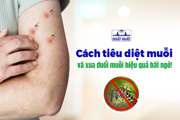 Cách tiêu diệt muỗi và xua đuổi muỗi hiệu quả bất ngờ!