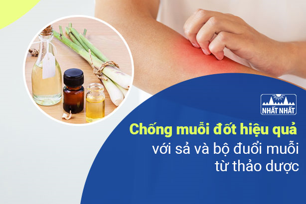 Chống muỗi đốt hiệu quả với sả và bộ đuổi muỗi từ thảo dược