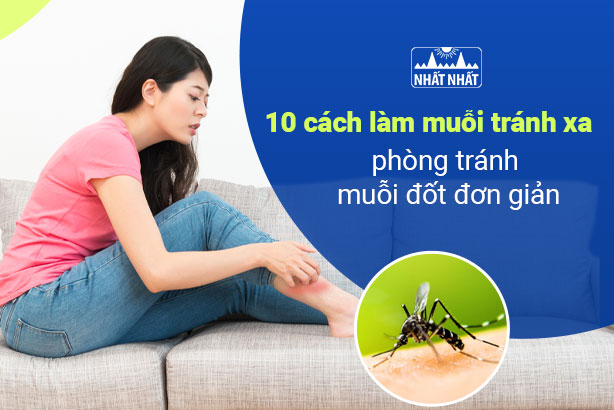 10 cách làm muỗi tránh xa, phòng tránh muỗi đốt đơn giản