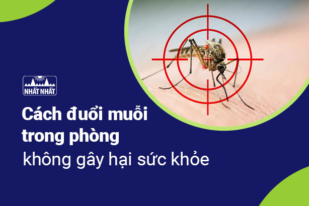 Cách đuổi muỗi trong phòng không gây hại sức khỏe