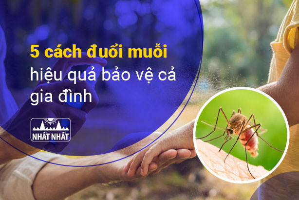 5 cách đuổi muỗi hiệu quả bảo vệ cả gia đình