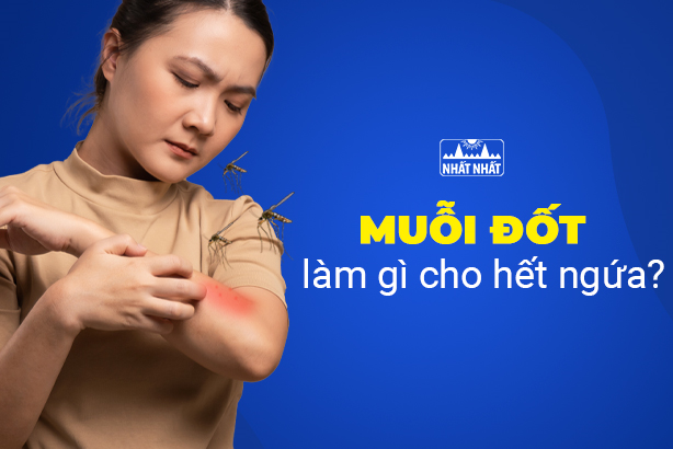 Muỗi đốt làm gì cho hết ngứa, bạn có biết không?
