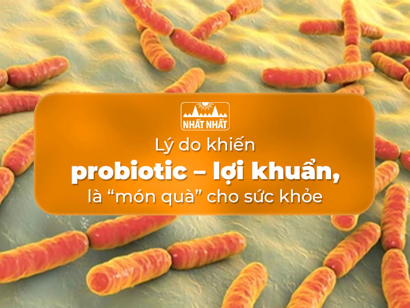 Lý do khiến bổ sung probiotic – lợi khuẩn là “món quà” cho sức khỏe
