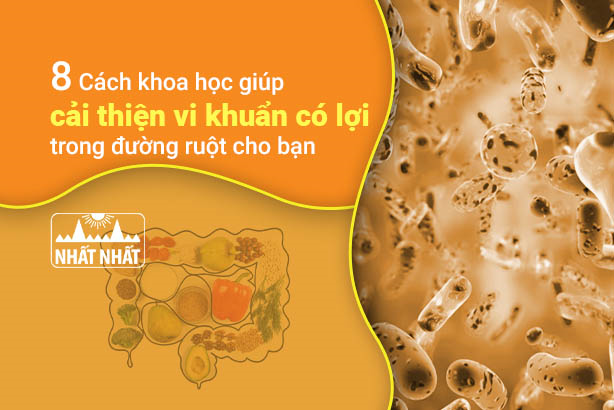 8 Cách khoa học giúp cải thiện vi khuẩn có lợi trong đường ruột