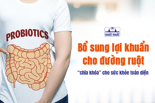 Bổ sung lợi khuẩn cho đường ruột – “chìa khóa” cho sức khỏe toàn diện