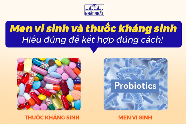 Men vi sinh và thuốc kháng sinh: Hiểu đúng để kết hợp đúng cách!