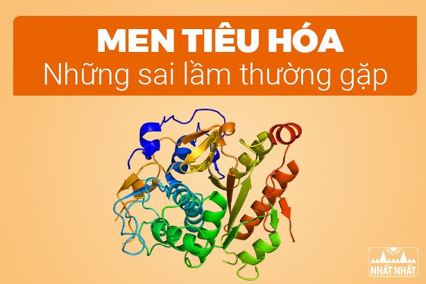 Men tiêu hóa: Những sai lầm thường gặp