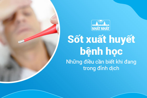 Sốt xuất huyết bệnh học: Những điều cần biết khi đang trong đỉnh dịch