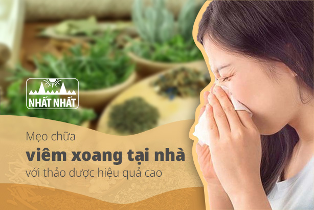 Mẹo chữa viêm xoang tại nhà với thảo dược hiệu quả cao