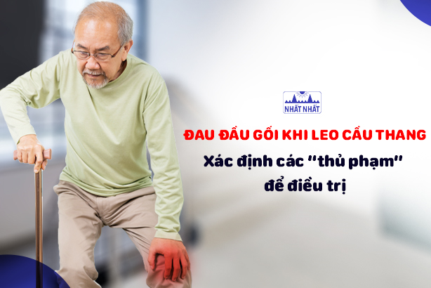 Đau đầu gối khi leo cầu thang: xác định các “thủ phạm” để điều trị