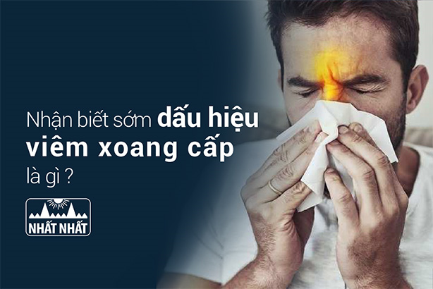 Nhận biết sớm dấu hiệu viêm xoang cấp là gì để xử lý kịp thời