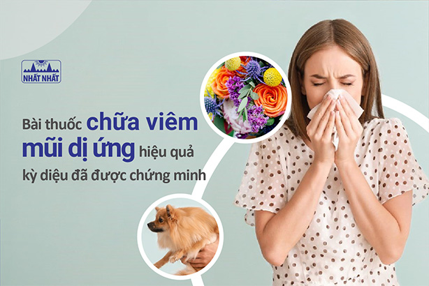 Bài thuốc chữa viêm mũi dị ứng hiệu quả kỳ diệu đã được chứng minh