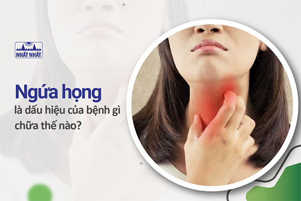 Ngứa họng là dấu hiệu của bệnh gì, chữa thế nào hiệu quả nhanh?