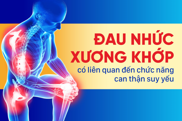 Đau nhức xương khớp có liên quan đến chức năng can thận suy yếu