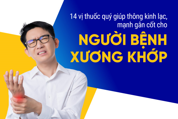 14 vị thuốc quý giúp thông kinh lạc, mạnh gân cốt cho bệnh xương khớp
