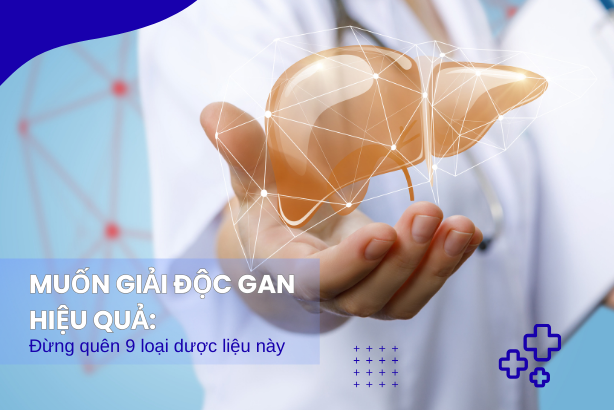Muốn giải độc gan hiệu quả: Đừng quên 9 dược liệu này