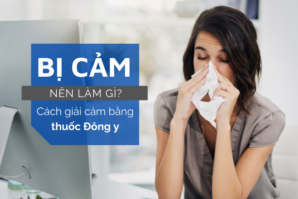Bị cảm nên làm gì? Cách giải cảm bằng thuốc Đông y
