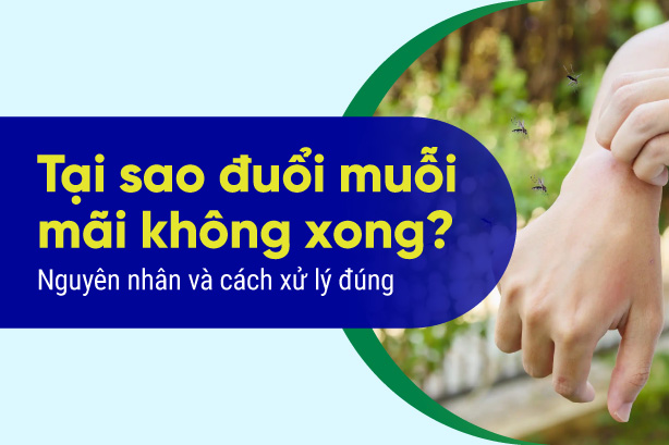 Tại sao đuổi muỗi mãi không xong? Nguyên nhân và cách xử lý đúng