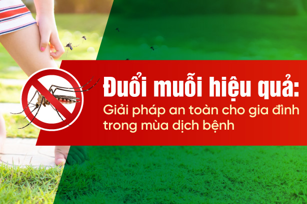 Đuổi muỗi hiệu quả: Giải pháp an toàn cho gia đình trong mùa dịch bệnh