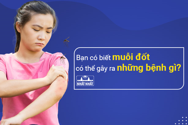 Bạn có biết muỗi đốt có thể gây ra những bệnh gì ?