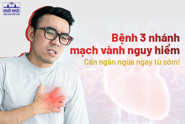 Bệnh 3 nhánh mạch vành nguy hiểm: cần ngăn ngừa ngay từ sớm!