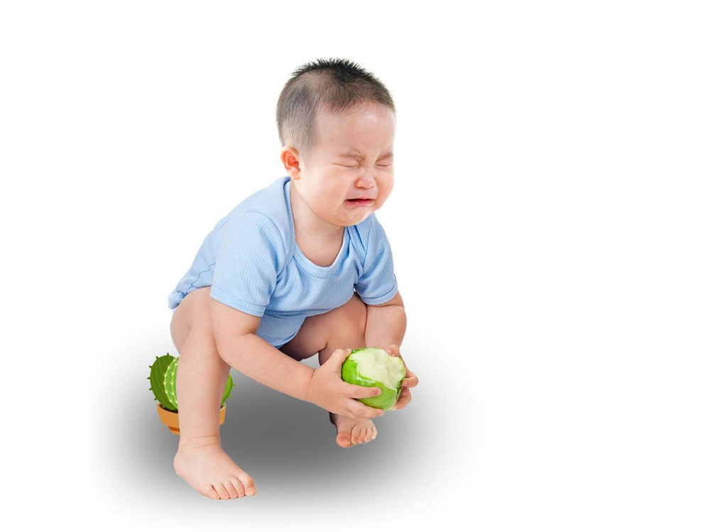 Bị táo bón có nên dùng men vi sinh không?