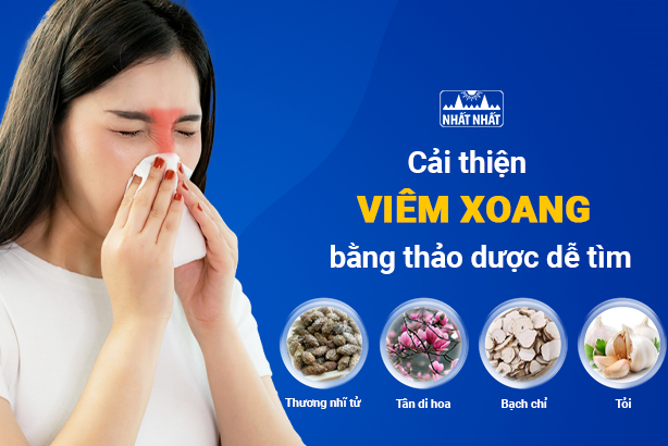 Cải thiện viêm xoang tại nhà bằng thảo dược dễ tìm