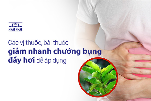 Các vị thuốc, bài thuốc giảm nhanh chướng bụng đầy hơi dễ áp dụng