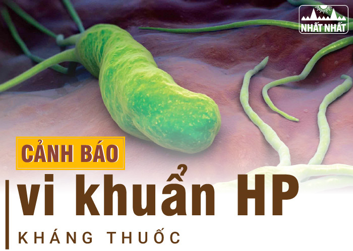 Tìm hiểu phác đồ điều trị vi khuẩn HP kháng thuốc