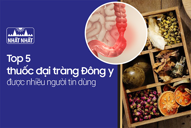 Những thành phần trong thuốc đông y có tác dụng chính trong việc trị viêm đại tràng là gì?
