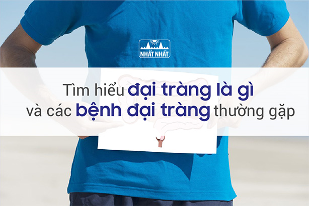 Tìm hiểu đại tràng là gì và các bệnh đại tràng thường gặp