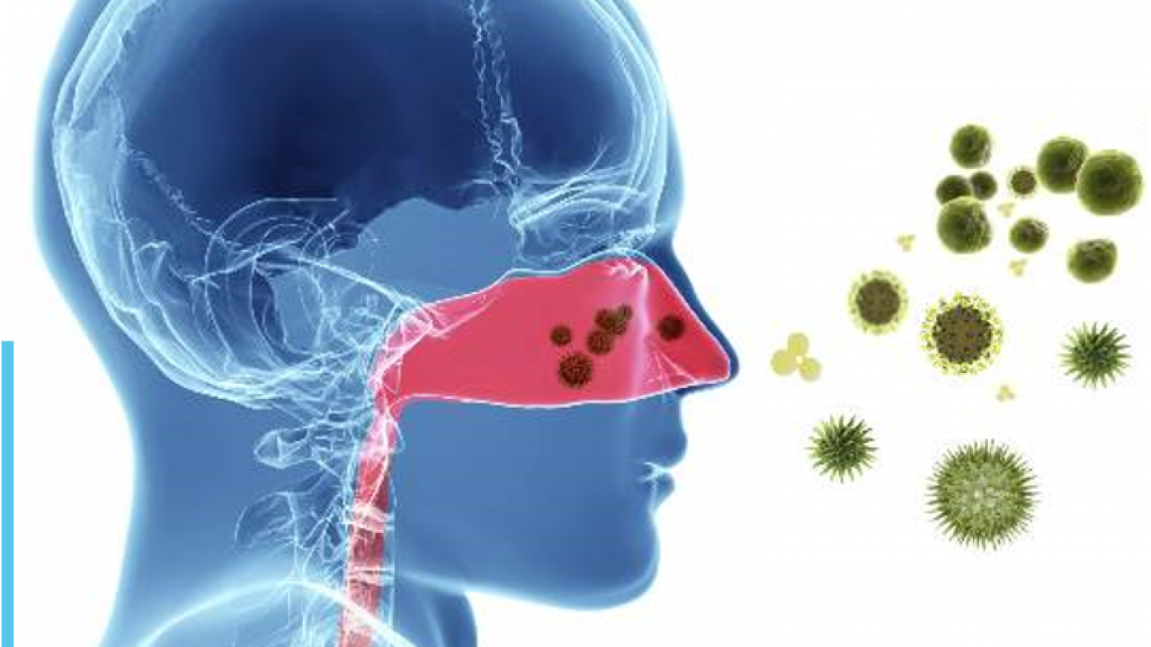 Niêm mạc mũi bị tổn thương do tiếp xúc với các dị nguyên dẫn đến hiện tượng hắt hơi, nghẹt mũi