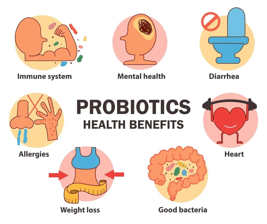 Probiotic có hiệu quả đặc biệt tới sức khỏe tiêu hóa