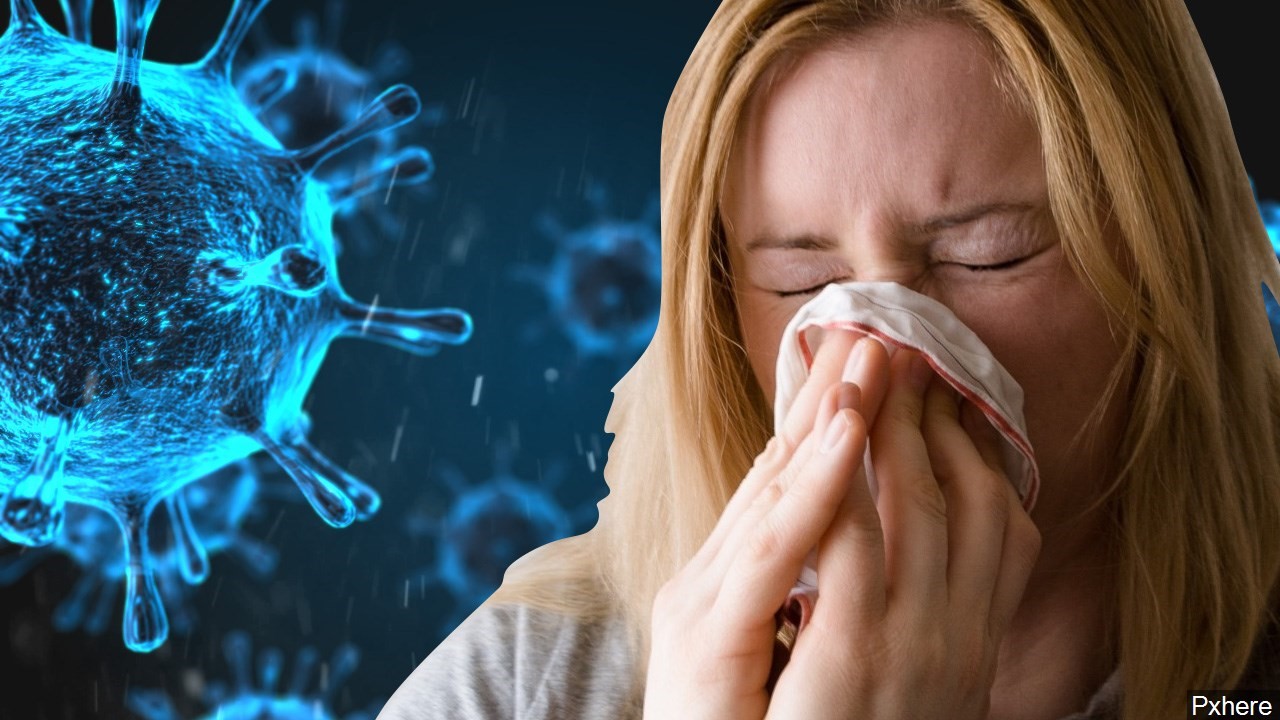 Virus cảm lạnh xâm nhập vào cơ thể qua mũi, dính vào các phân tử tế bào
