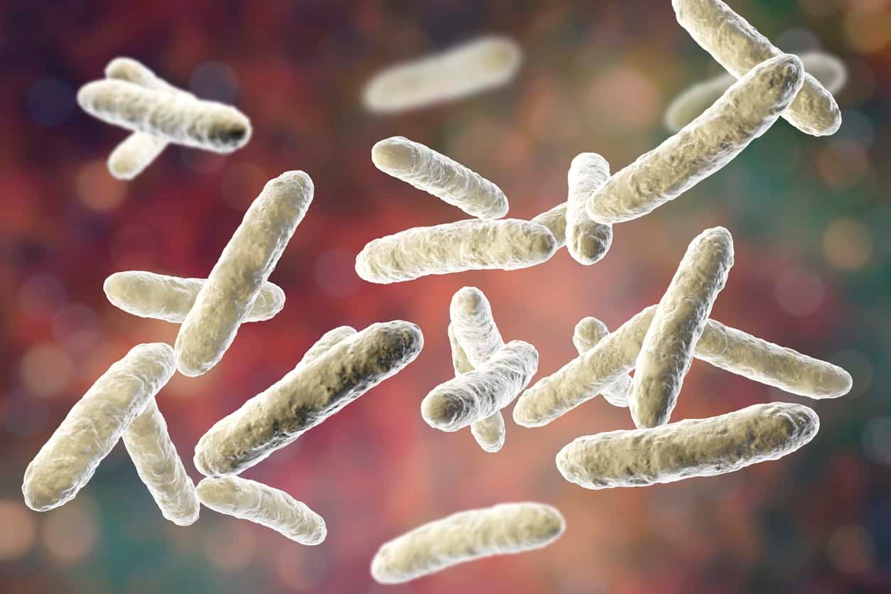 Lợi khuẩn Bacillus Clausii là chủng lợi khuẩn được WHO khuyên dùng